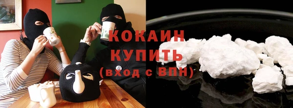 индика Абинск