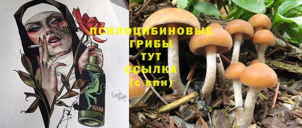 a pvp Абдулино