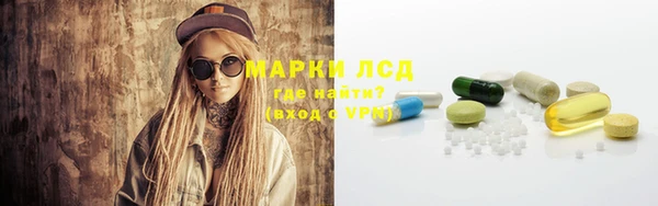 индика Абинск