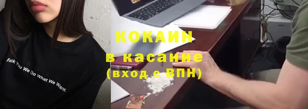 индика Абинск