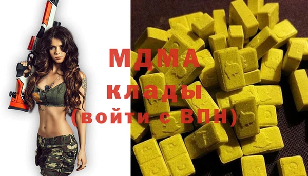 индика Абинск