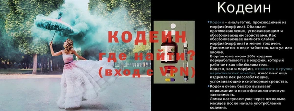 индика Абинск
