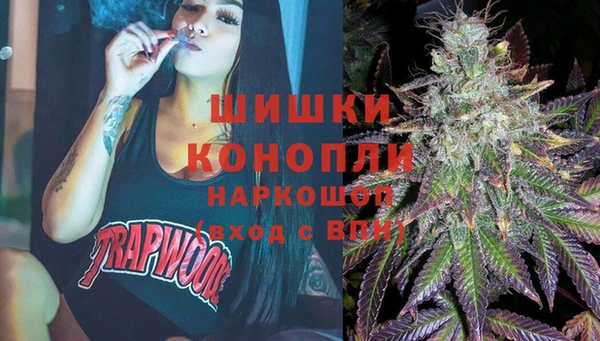 твердый Абаза