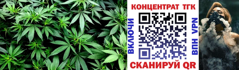 ТГК концентрат  Мурино 